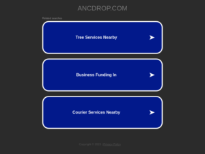 Ancdrop review