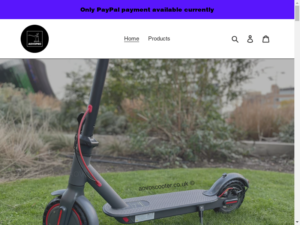 Aovoscooter review