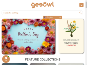 Geeowl review