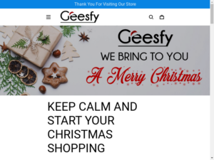 Geesfy review