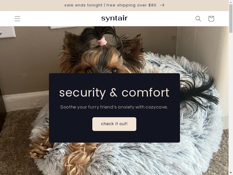 Syntair review