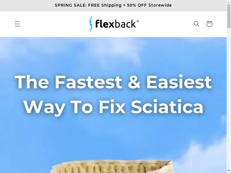 Theflexback review