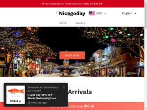 Nicegoday review