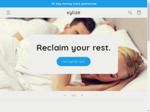 Xylize review